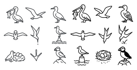 Set of birds in various positions and sizes. Some are flying, some are perched, and some are swimming
