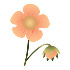 Simple cute light pink flower. Vector illustration isolated on white background.