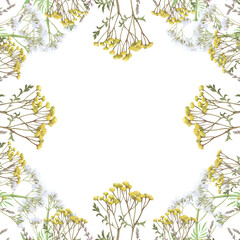 Watercolor frame of tansy,valerian,salvia.Hand-drawn clip-art on white.Realistic images of Medicinal herbs for packaging, textiles, printing, holiday cards, wedding, menu
