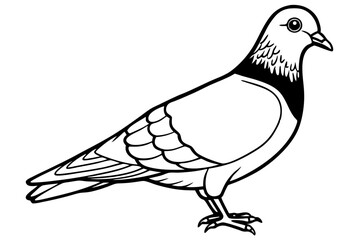 Obraz premium A graceful vector illustration of a white dove or pigeon, a symbol of peace, with outstretched wings and a delicate feather, isolated on a clean background