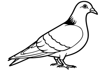 Fototapeta premium White dove, a symbol of peace, isolated on a white background, showcasing its delicate feathers and graceful wings