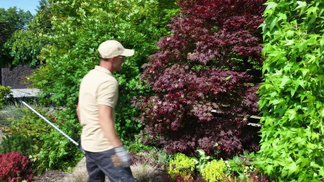 Gardener Trims Vibrant Japanese Maple and Lush Greenery in Sunny Backyard