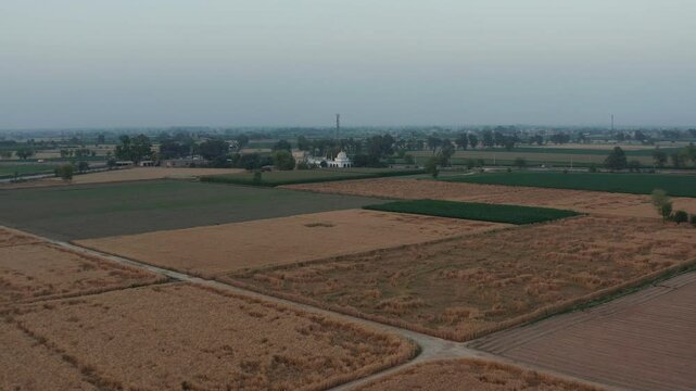 expansive farmland, showcasing vast green fields with scattered patches of agricultural plots