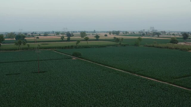 expansive farmland, showcasing vast green fields with scattered patches of agricultural plots