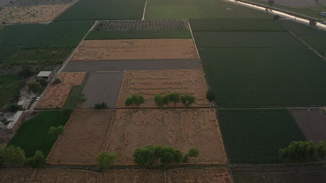 expansive farmland, showcasing vast green fields with scattered patches of agricultural plots