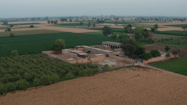 expansive farmland, showcasing vast green fields with scattered patches of agricultural plots
