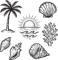Obraz premium vector set of sea shells