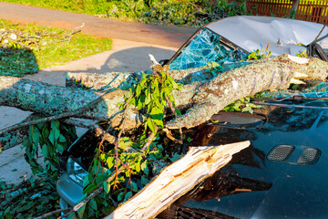 Strong storm has caused tree to fall, leaving branches scattered heavily damaging parked car