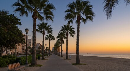 Golden Sunrise over a Palm Tree Lined Beach Path