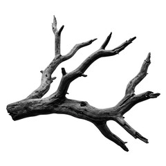 dead tree branch isolated on white background, PNG, dead branch PNG, white background branch, bare branch, dead wood, broken tree branch