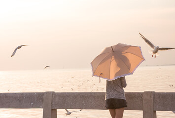 Bird watching, Woman holding umbrella watches seagulls at Bang Pu seaside, Thailand in sunset light