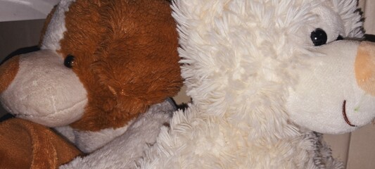 Two teddy bears together