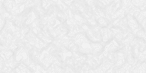 Abstract topographic map Intricate Line Patterns in light gray with thin contour lines and subtle shading effects. © MDRobin