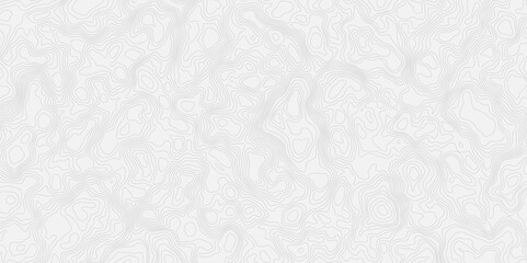 Abstract topographic map Intricate Line Patterns in light gray with thin contour lines and subtle shading effects.