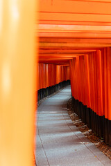 Bramy Torii w świątyni Fushimi Inari-Taisha