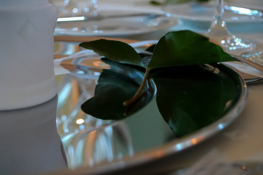 Elegant Table Setting with Magnolia Leaves and Reflective Surfaces