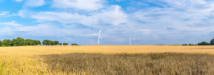 wind generator in rural landscape
