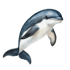 Porpoise Close Up, watercolor painting vector, isolated on a white background.