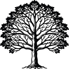 Obraz premium Intricate silhouette of a majestic oak tree with a sprawling canopy and detailed branching structure against a white background