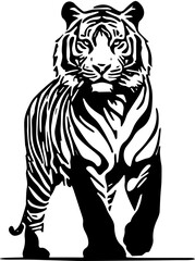 tiger vector illustration