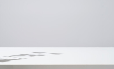 Gray background. Background with the shadows of plants.  グレー背景。植物の影が映る背景