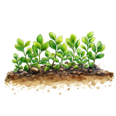 watercolor of Planting Bar, vector, isolated on a white background.