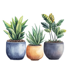 watercolor vector of Planters, isolated on a white background.