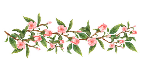 Watercolor pink flowers handmade. Flowers of peach, apple, apricot, cherry