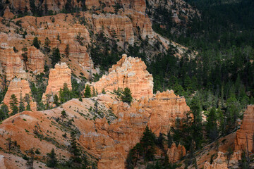 Sedimentary rock eroded into beautiful orange hoodoos in late afternoon sunlight, summer vacation exploring in Bryce Canyon National Park, Utah
