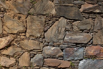 A wall made of stone with a green plant growing out of it