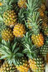 bunch of pineapples at vertical composition