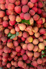 bunch of fresh lichees at vertical composition