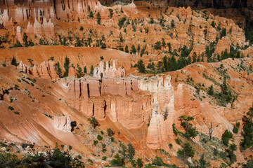 Natural geologic marvel of erosion on rocks to create beautiful hoodoos in an amphitheater, summer vacation exploring in Bryce Canyon National Park, Utah
