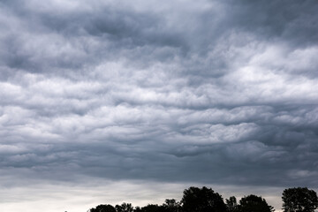 Asperatus clouds creating a dramatic sky over the trees