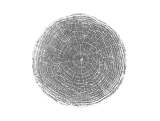 Black and white stamp of wood texture of tree rings from a slice of log. Negative image of cut tree slice, isolated on white background