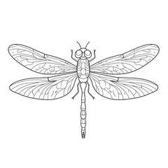 A symmetrical dragonfly illustration with finely detailed wings and a segmented body, drawn in clean black-and-white line art.