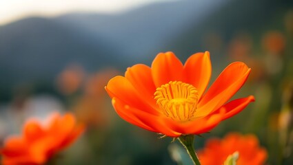 Stunning Close-Up of Vibrant Orange Flora in New Zealand