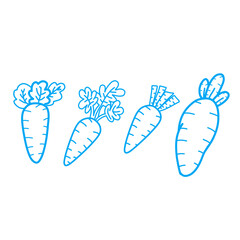Illustration of fresh carrot, carrots vector icons or carrot illustration 