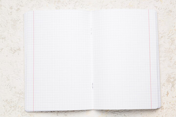 Blank copybook pages on white grunge background