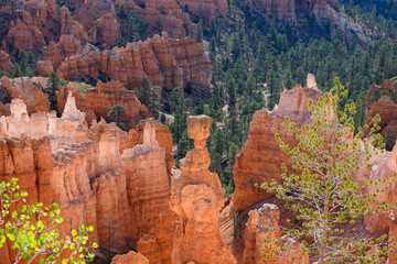 Thor’s Hammer rock formation and other hoodoos in morning light, summer vacation exploring in...