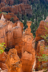Thor’s Hammer rock formation and other hoodoos in morning light, summer vacation exploring in Bryce Canyon National Park, Utah
