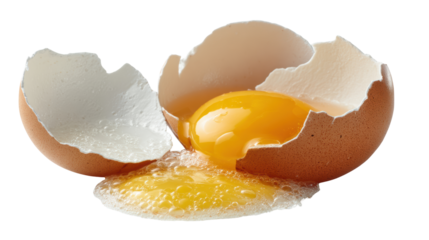 Fresh eggshell with yolk spilling out, isolated on a white background.