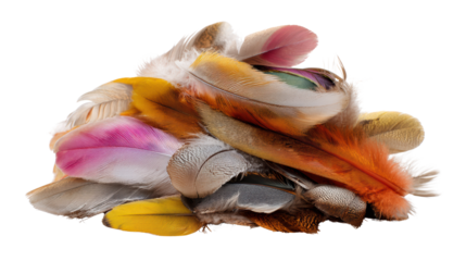 Colorful collection of feathers on a white isolated background.