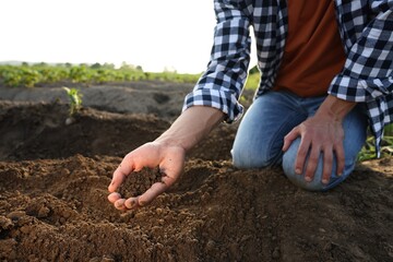 Man holding pile of soil in field, closeup