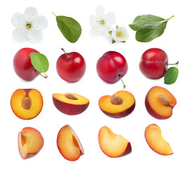 Yummy ripe plums, blossoms and green leaves on white background, collage
