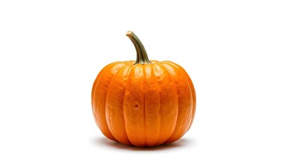 Obraz premium Harvest season pumpkin farm landscape still life photography bright mood close-up perspective