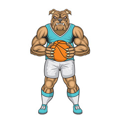 basketball mascot dog vector illustration dog basketball design