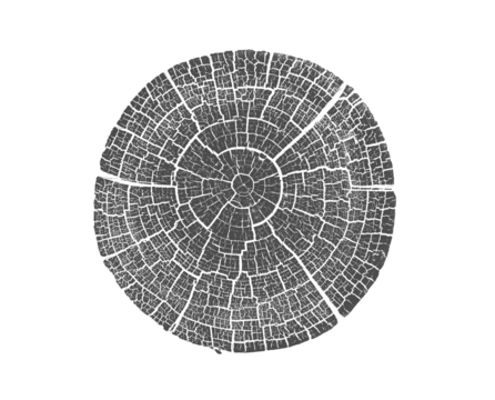 Black and white stamp of wood texture of tree rings from a slice of log. Negative image of cut tree slice, isolated on white background