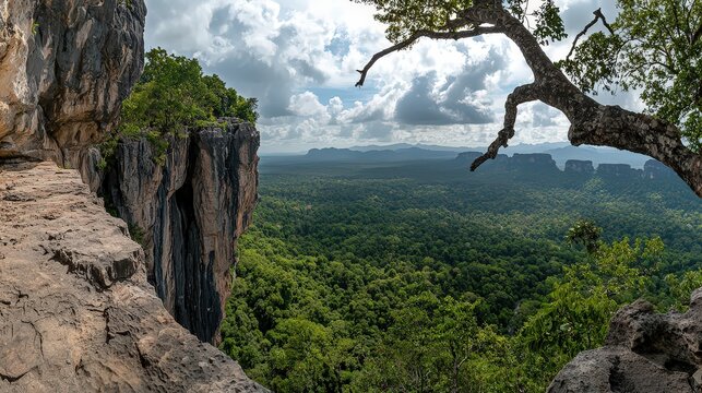 Exploring majestic cliffs and lush forests tepui landscape scenic overlook nature adventure panoramic view