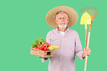 Mature male farmer with wicker basket full of different ripe vegetables, rake and shovel on green...